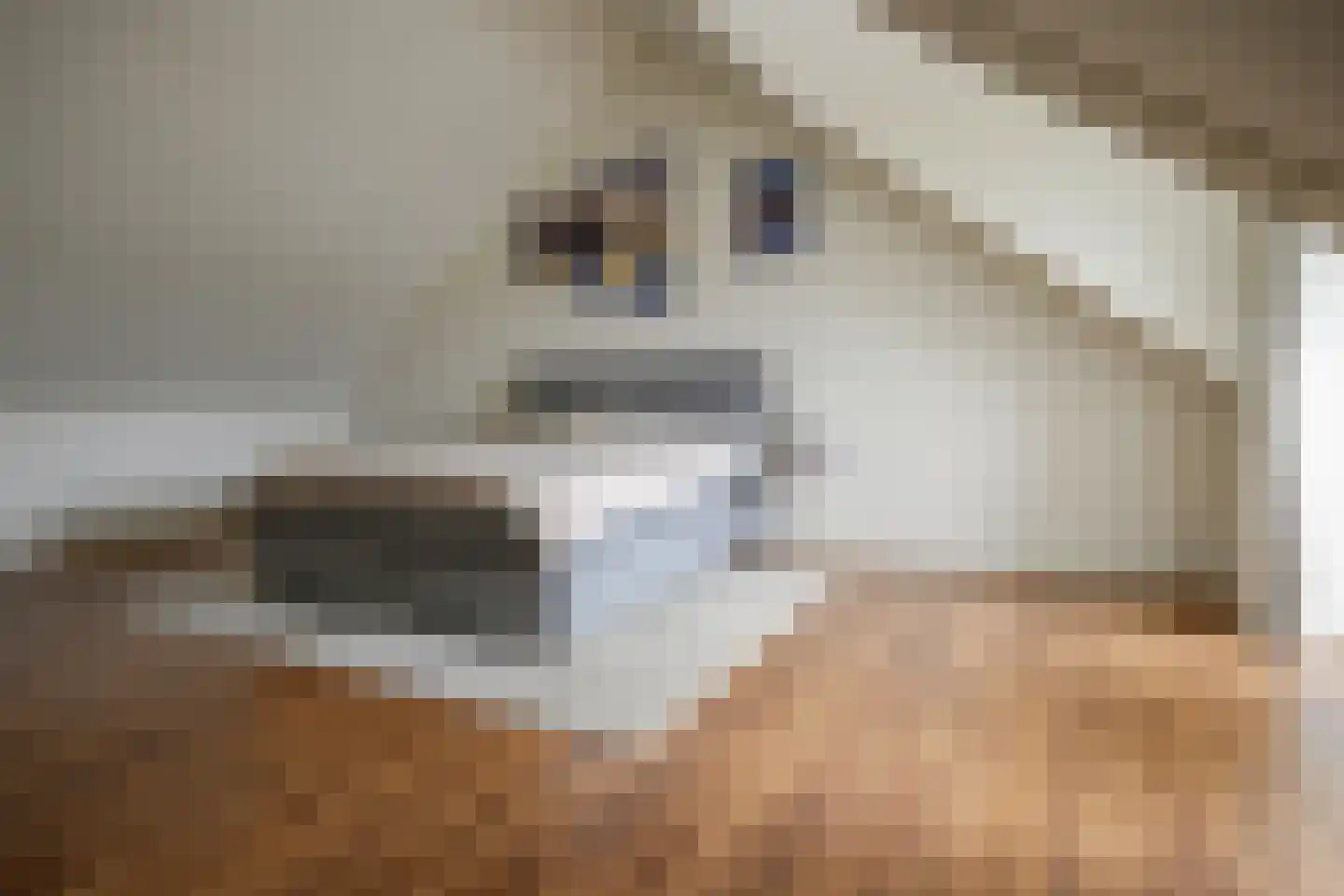 Grijpestijnhof 8 Bleiswijk thumbnail 33