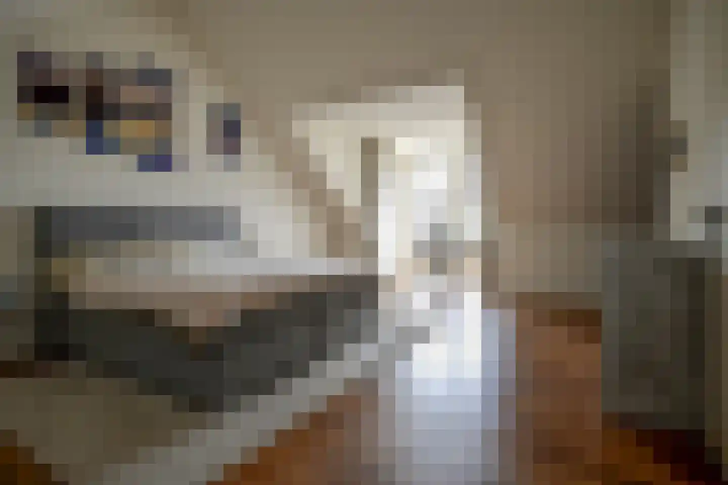 Grijpestijnhof 8 Bleiswijk thumbnail 4