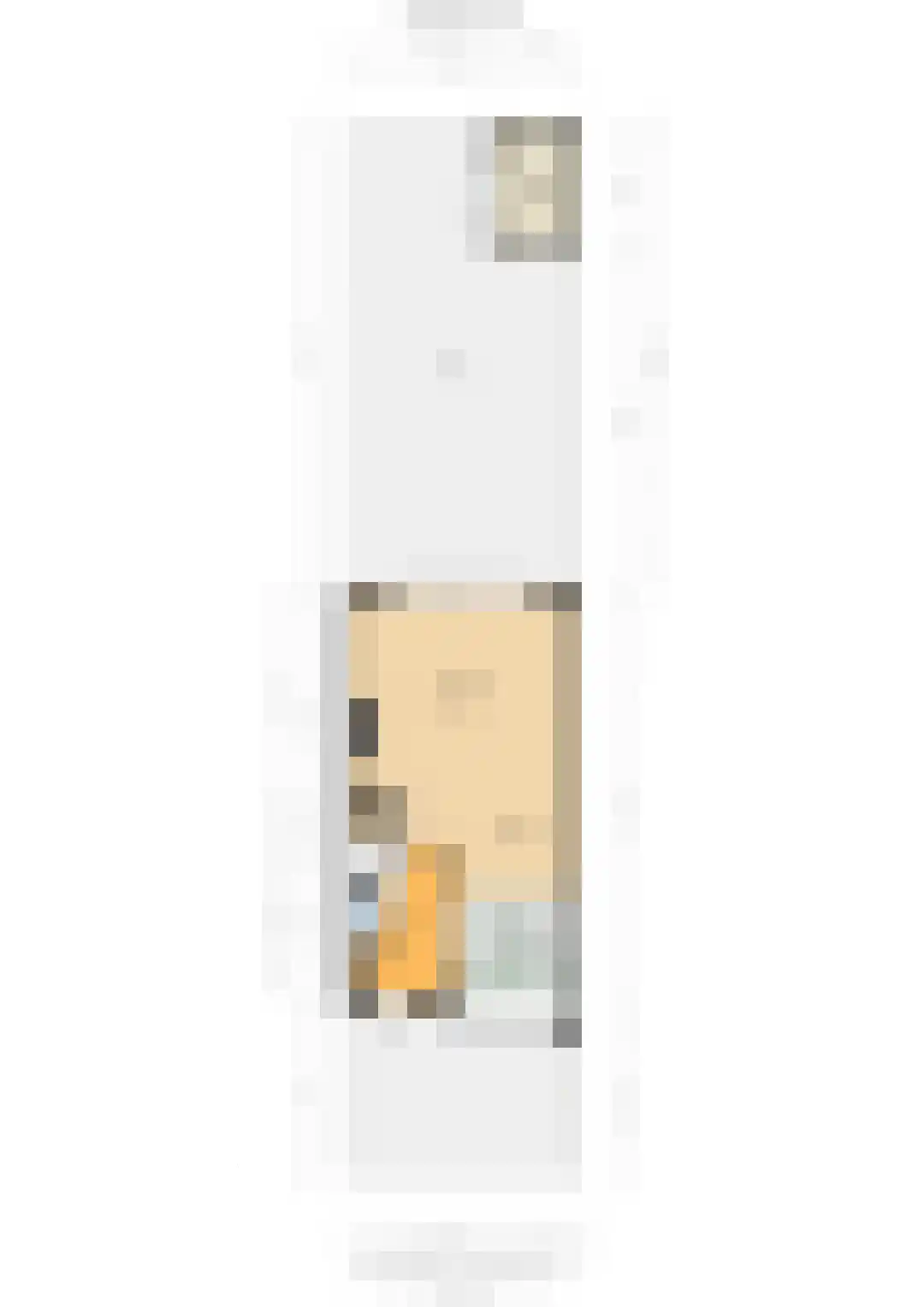 Grijpestijnhof 8 Bleiswijk thumbnail 46