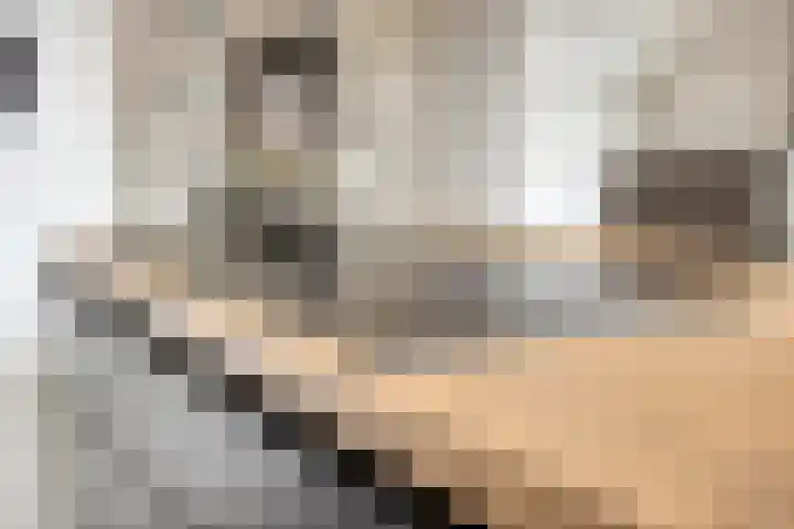 Grijpskerkstraat 1 Tilburg thumbnail 18