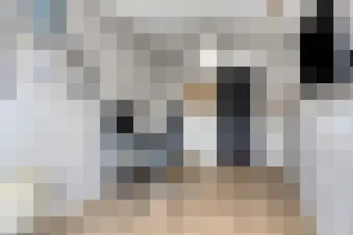 Grijpskerkstraat 1 Tilburg thumbnail 23