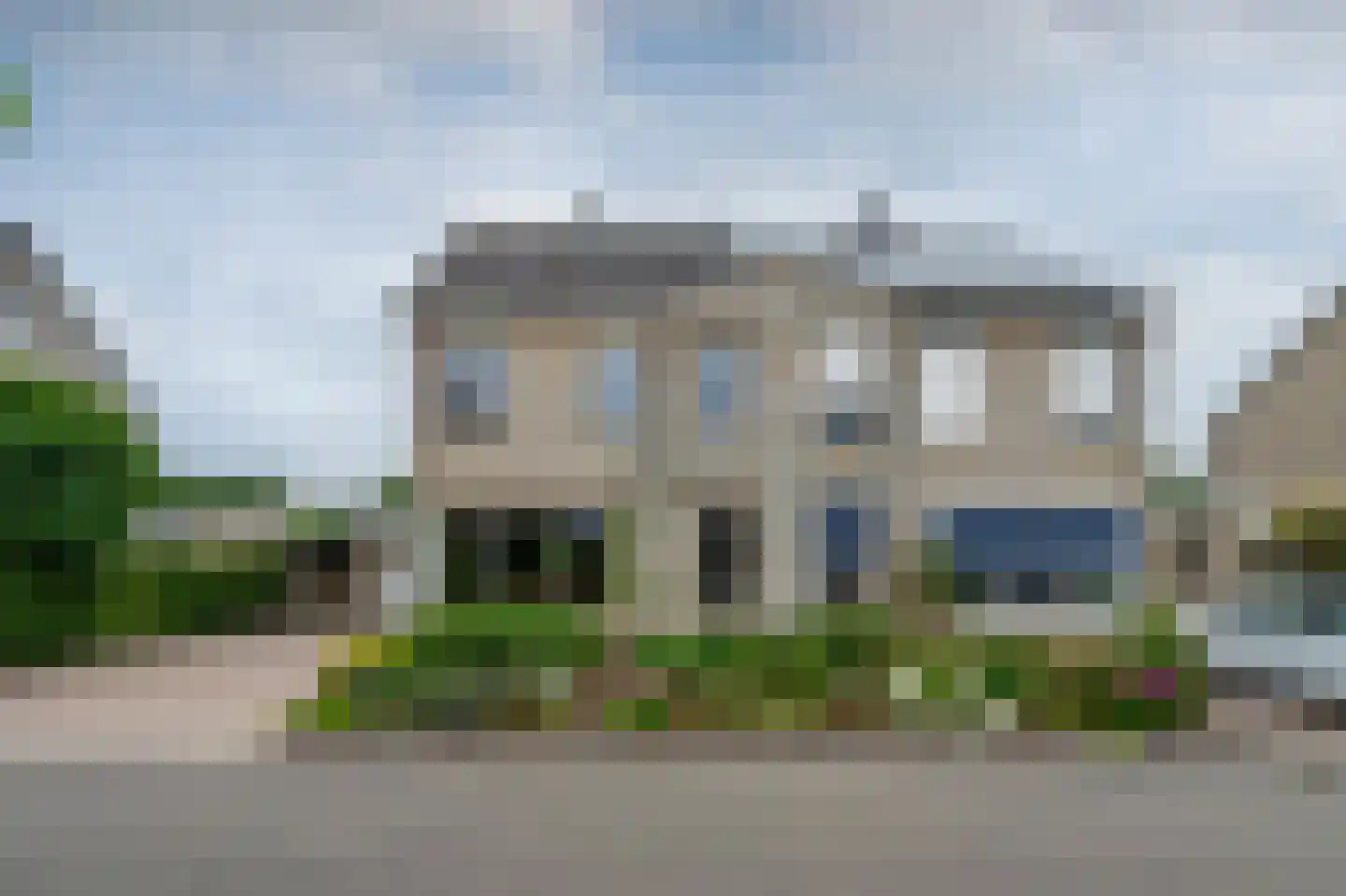 Grijskopspecht 10 Emmen