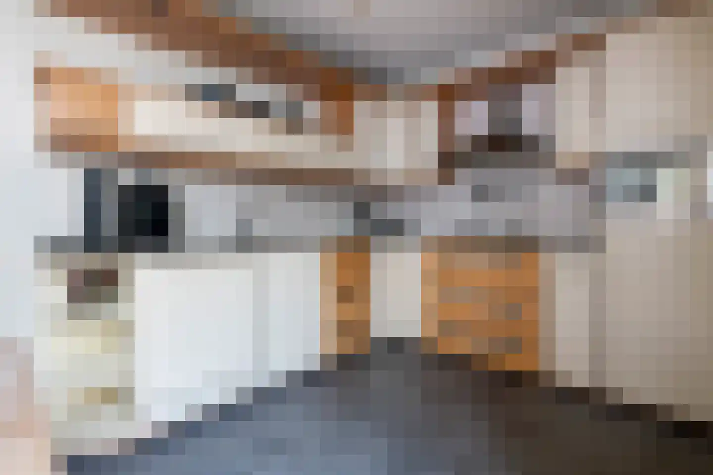 Grijskopspecht 10 Emmen thumbnail 12