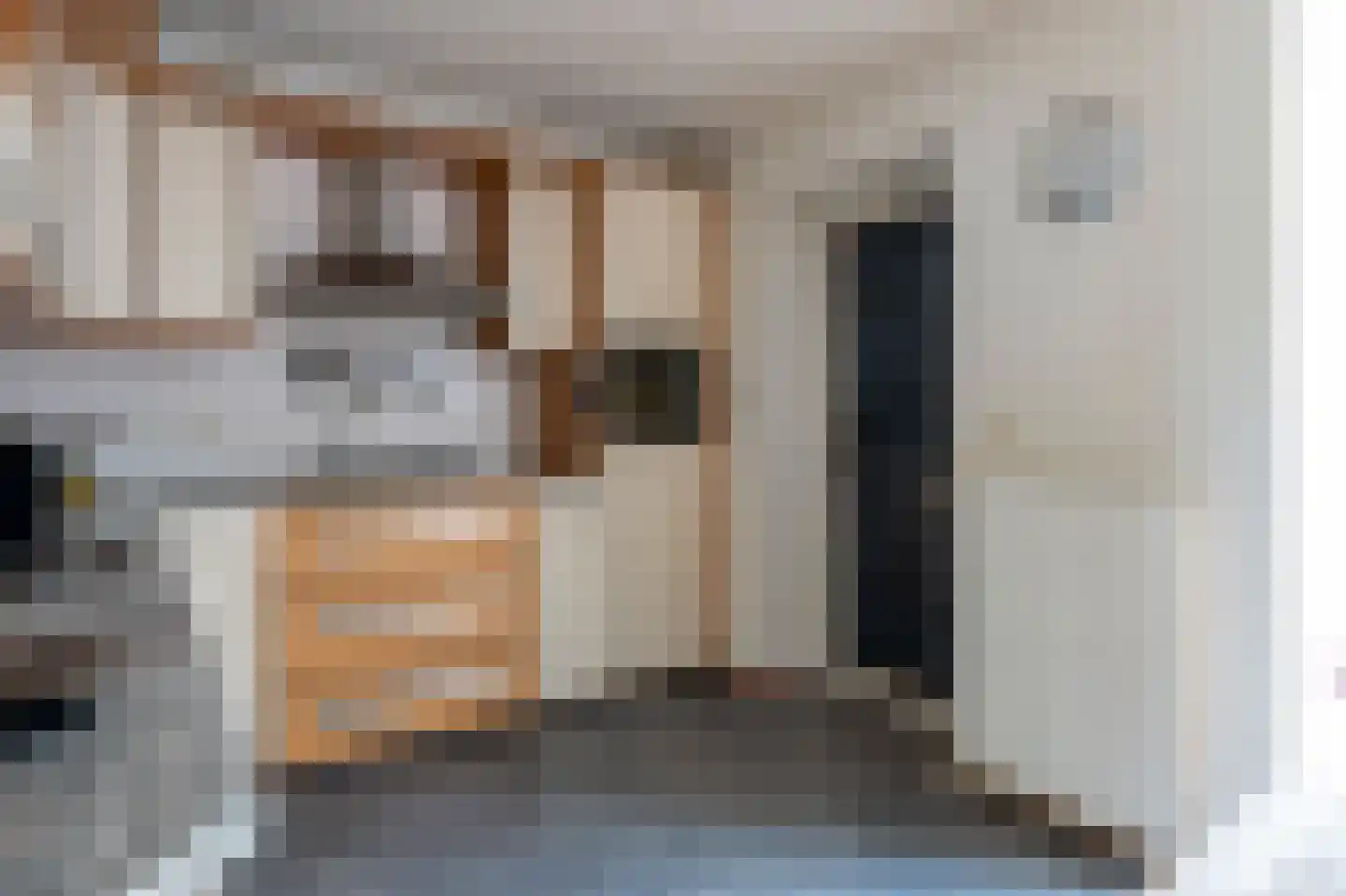 Grijskopspecht 10 Emmen thumbnail 13