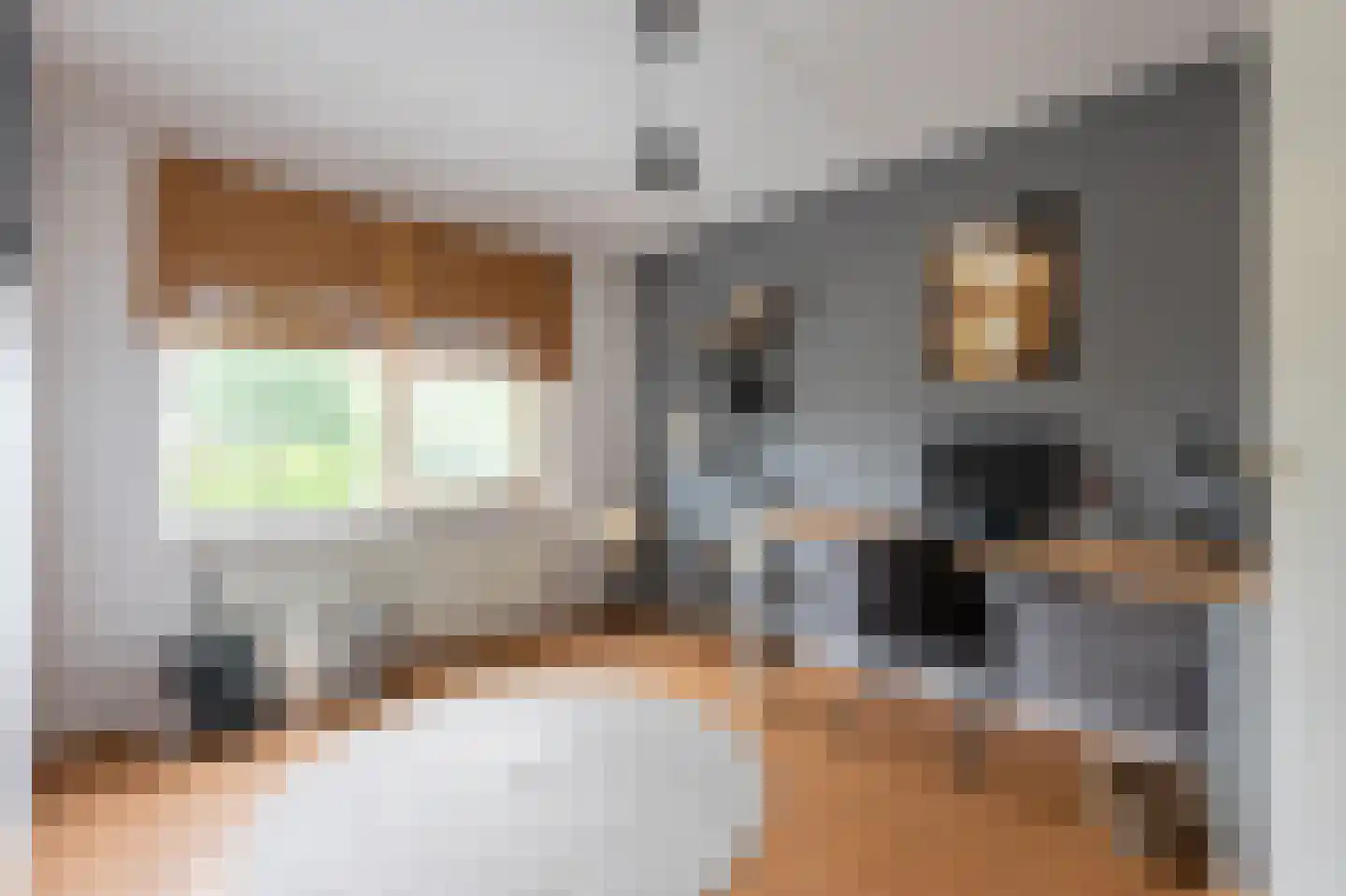 Grijskopspecht 10 Emmen thumbnail 24