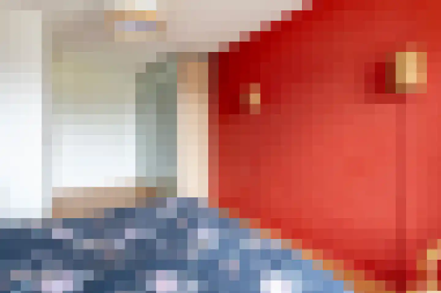 Grijskopspecht 10 Emmen thumbnail 26