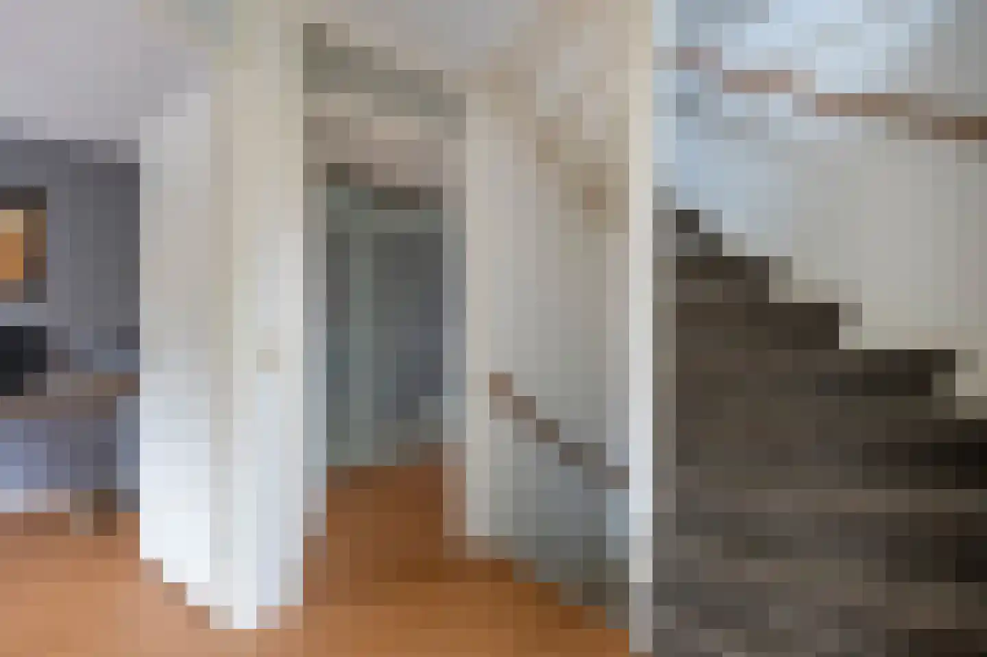 Grijskopspecht 10 Emmen thumbnail 31
