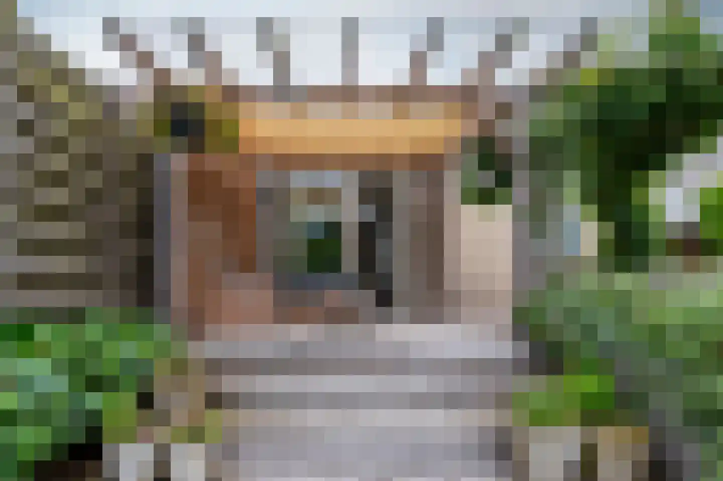 Grijskopspecht 10 Emmen thumbnail 34