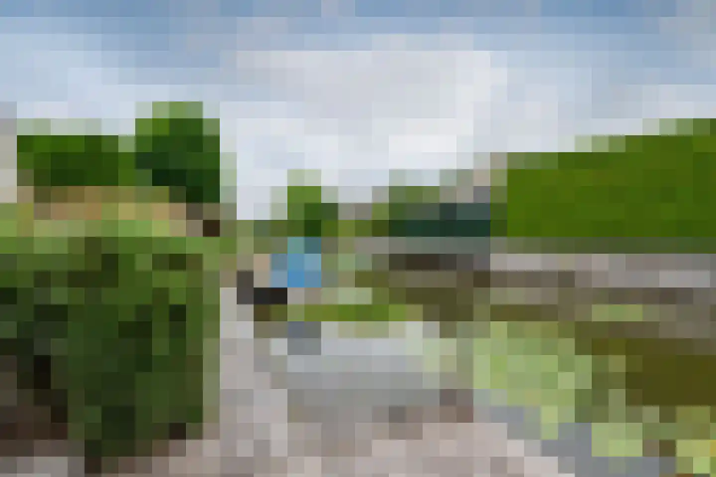 Grijskopspecht 10 Emmen thumbnail 39