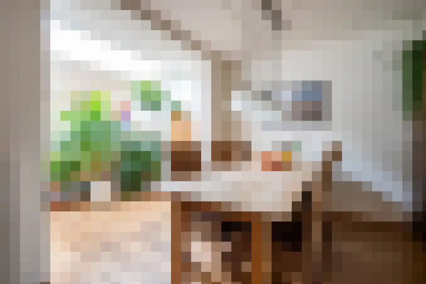 Grijskopspecht 10 Emmen thumbnail 4