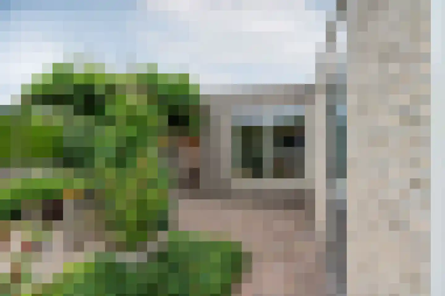 Grijskopspecht 10 Emmen thumbnail 40