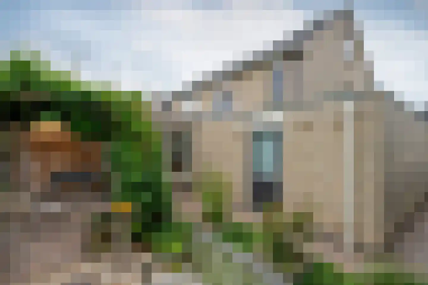 Grijskopspecht 10 Emmen thumbnail 42