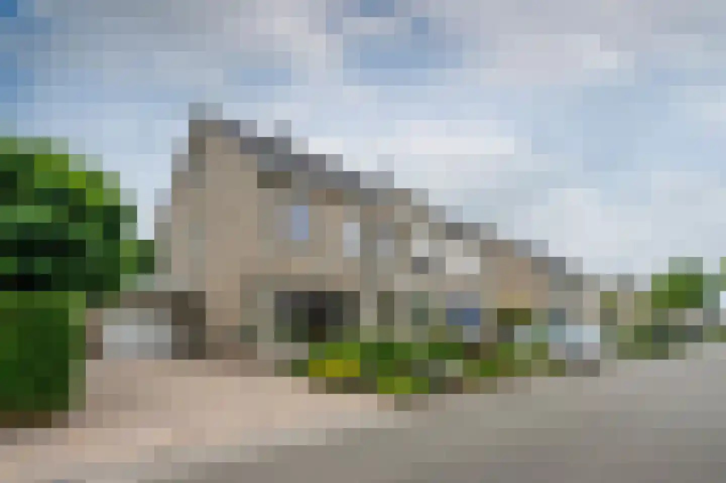 Grijskopspecht 10 Emmen thumbnail 43