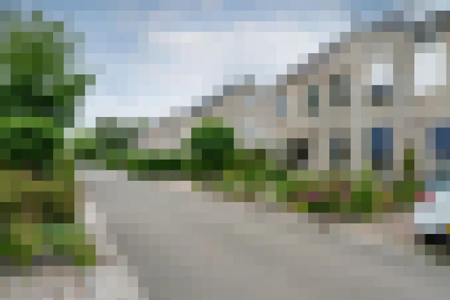 Grijskopspecht 10 Emmen thumbnail 44