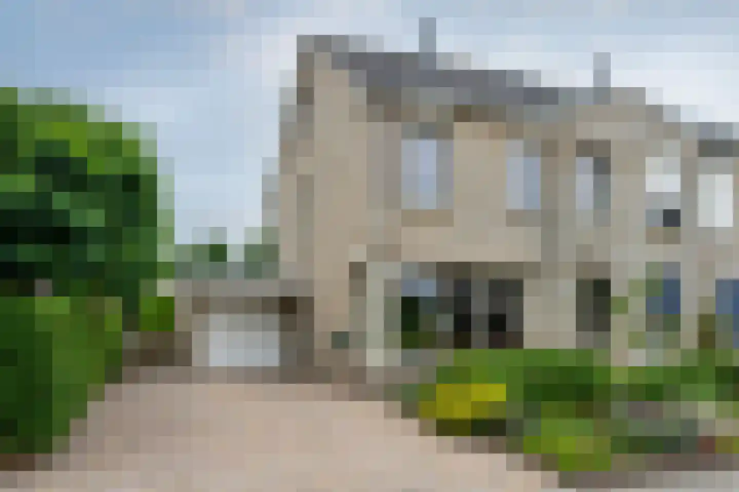 Grijskopspecht 10 Emmen thumbnail 45