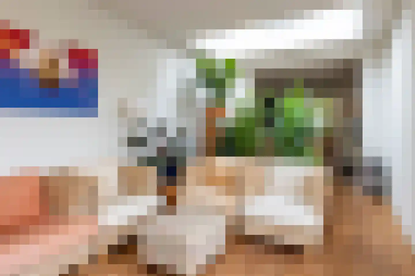 Grijskopspecht 10 Emmen thumbnail 6