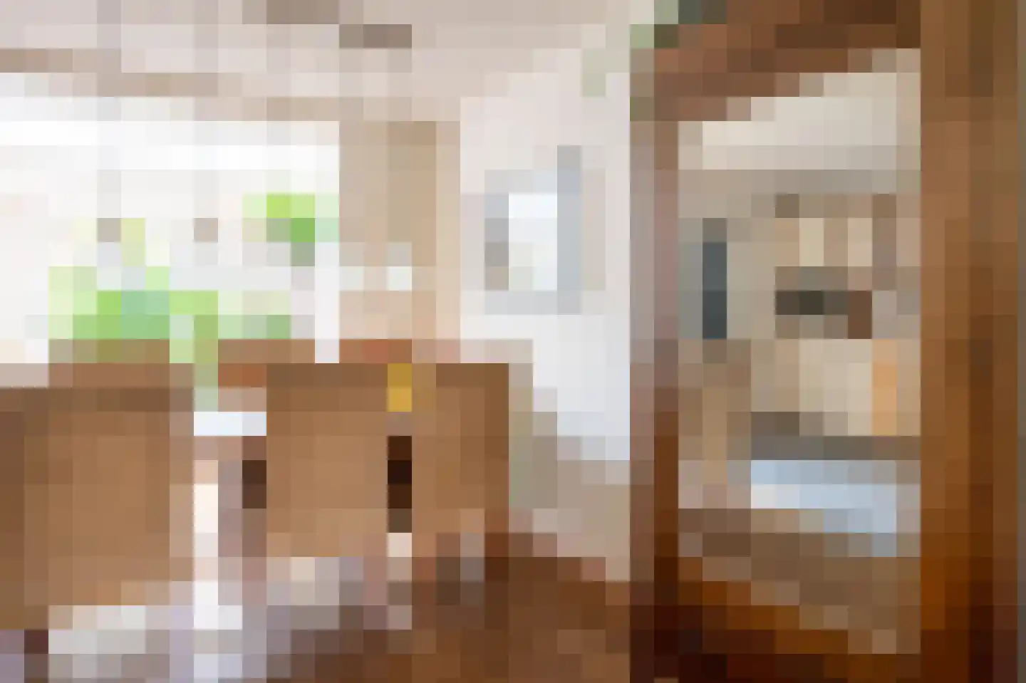 Grijskopspecht 10 Emmen thumbnail 7