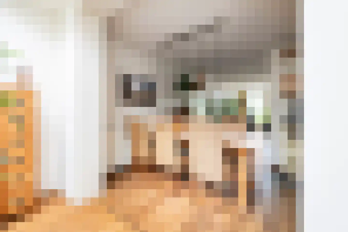 Grijskopspecht 10 Emmen thumbnail 9