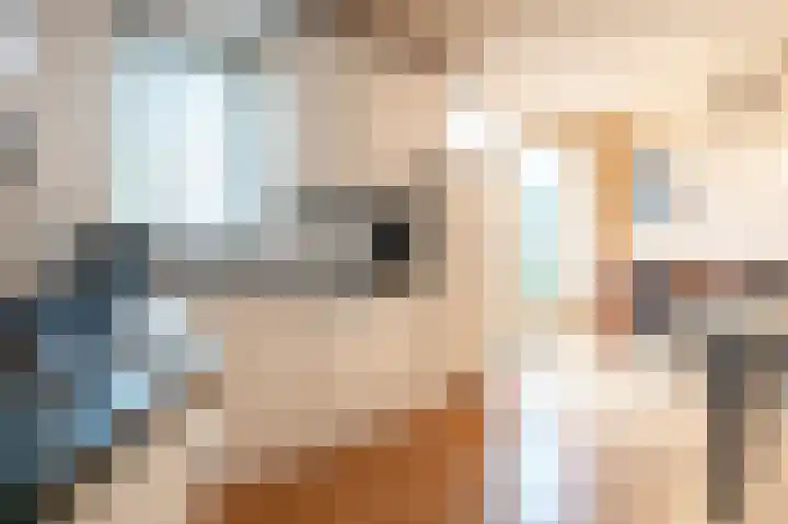 Grijskopspecht 30 Emmen thumbnail 13