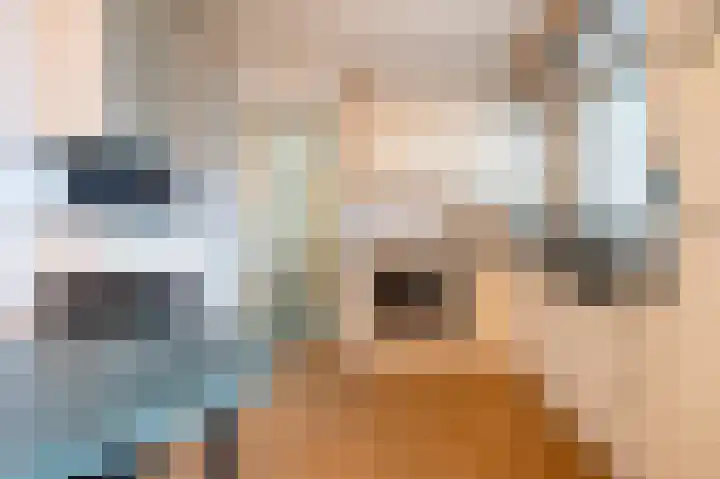Grijskopspecht 30 Emmen thumbnail 14
