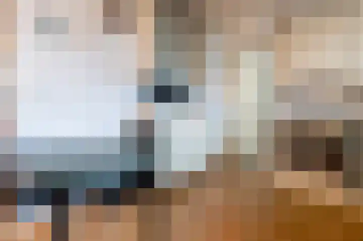 Grijskopspecht 30 Emmen thumbnail 15