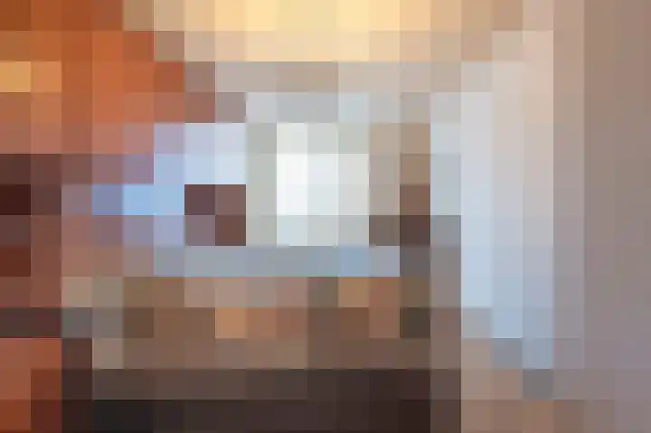 Grijskopspecht 30 Emmen thumbnail 19