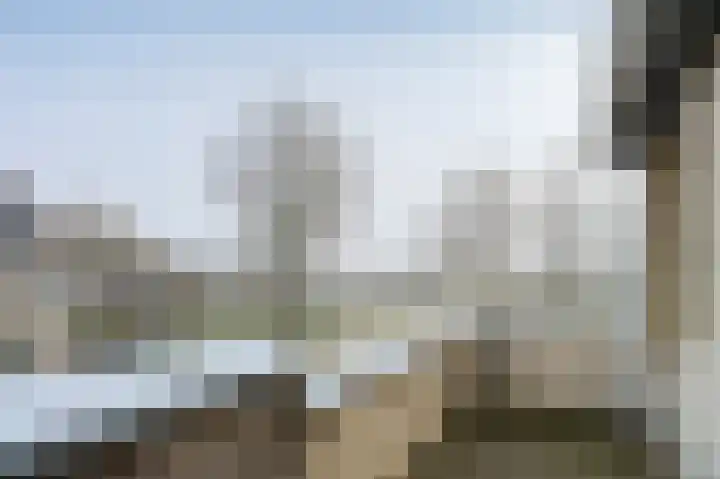 Grijskopspecht 30 Emmen thumbnail 21