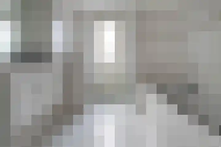 Grijskopspecht 30 Emmen thumbnail 22