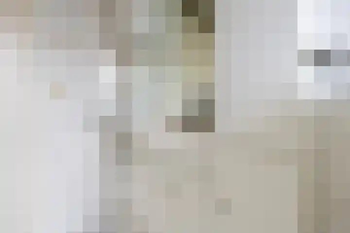 Grijskopspecht 30 Emmen thumbnail 23
