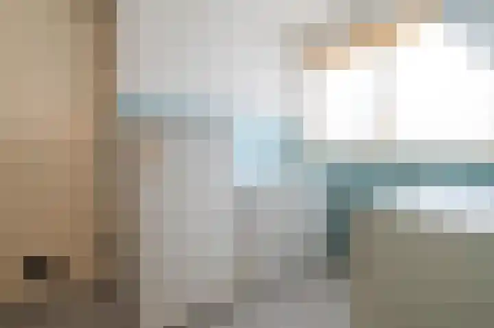 Grijskopspecht 30 Emmen thumbnail 28