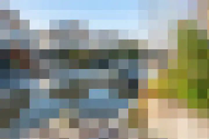 Grijskopspecht 30 Emmen thumbnail 29