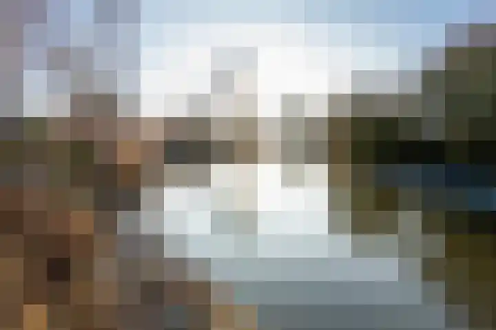 Grijskopspecht 30 Emmen thumbnail 31