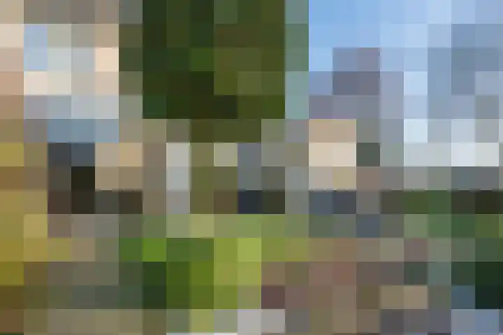 Grijskopspecht 30 Emmen thumbnail 32