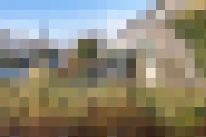 Grijskopspecht 30 Emmen thumbnail 33