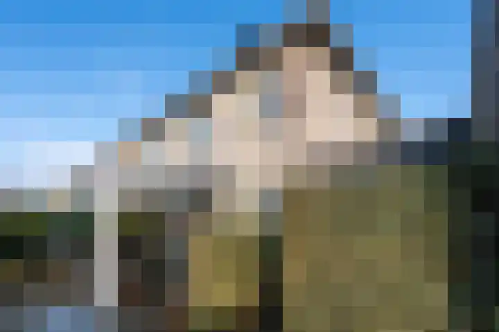 Grijskopspecht 30 Emmen thumbnail 34