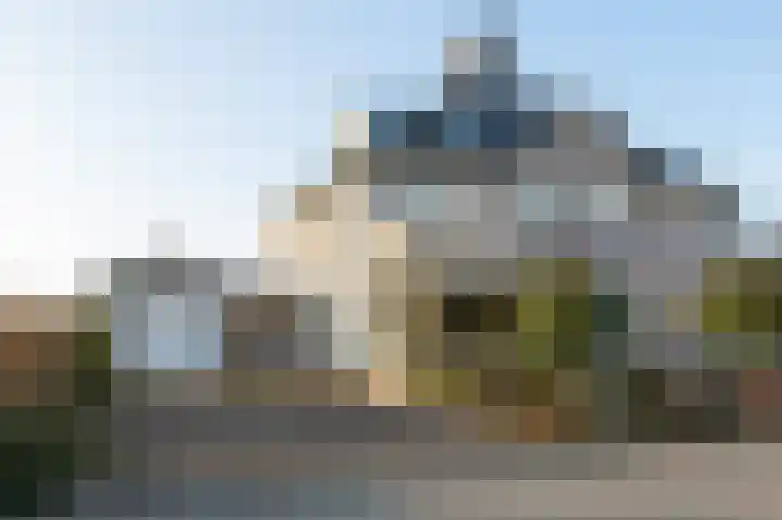 Grijskopspecht 30 Emmen thumbnail 35