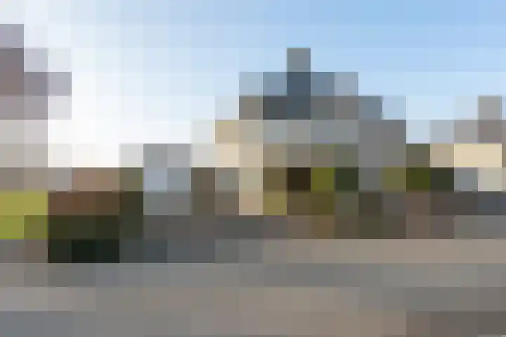 Grijskopspecht 30 Emmen thumbnail 36