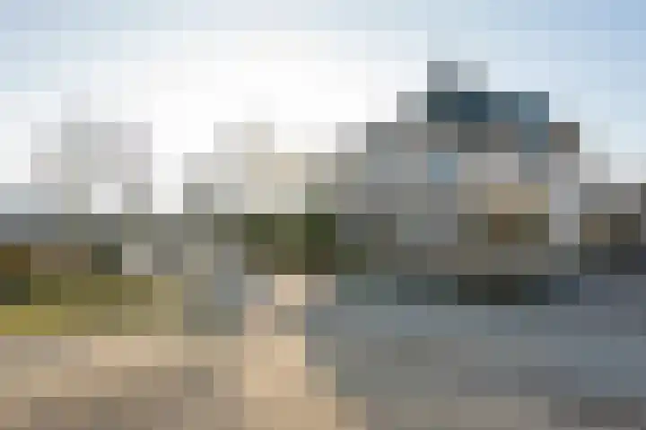 Grijskopspecht 30 Emmen thumbnail 37