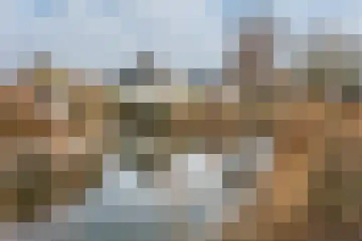 Grijskopspecht 30 Emmen thumbnail 38