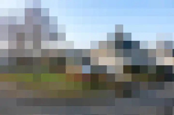 Grijskopspecht 30 Emmen thumbnail 39