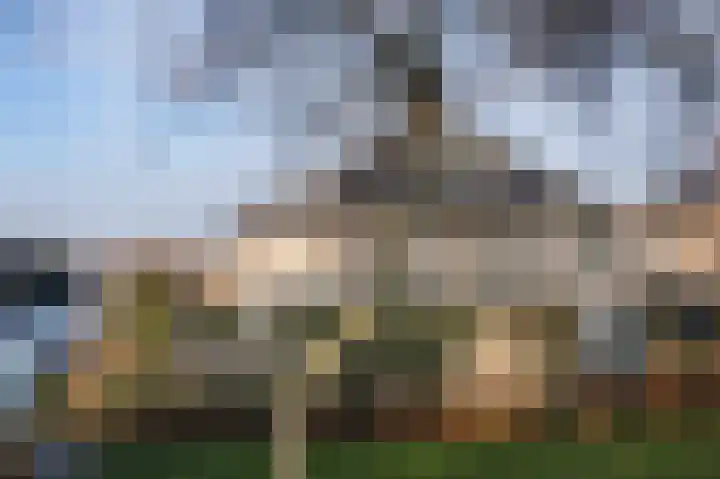 Grijskopspecht 30 Emmen thumbnail 40