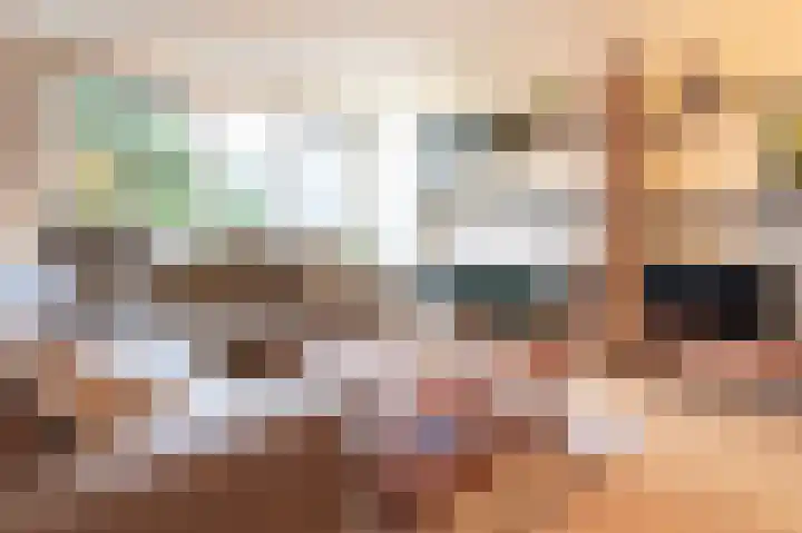 Grijskopspecht 30 Emmen thumbnail 7