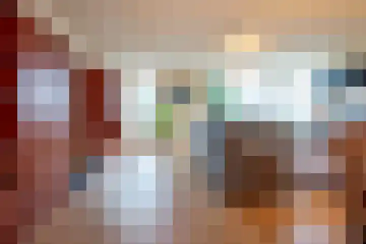 Grijskopspecht 30 Emmen thumbnail 8