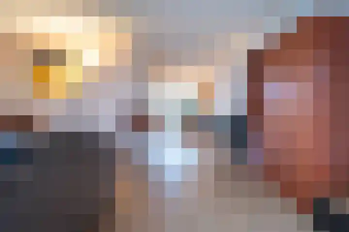 Grijskopspecht 30 Emmen thumbnail 9