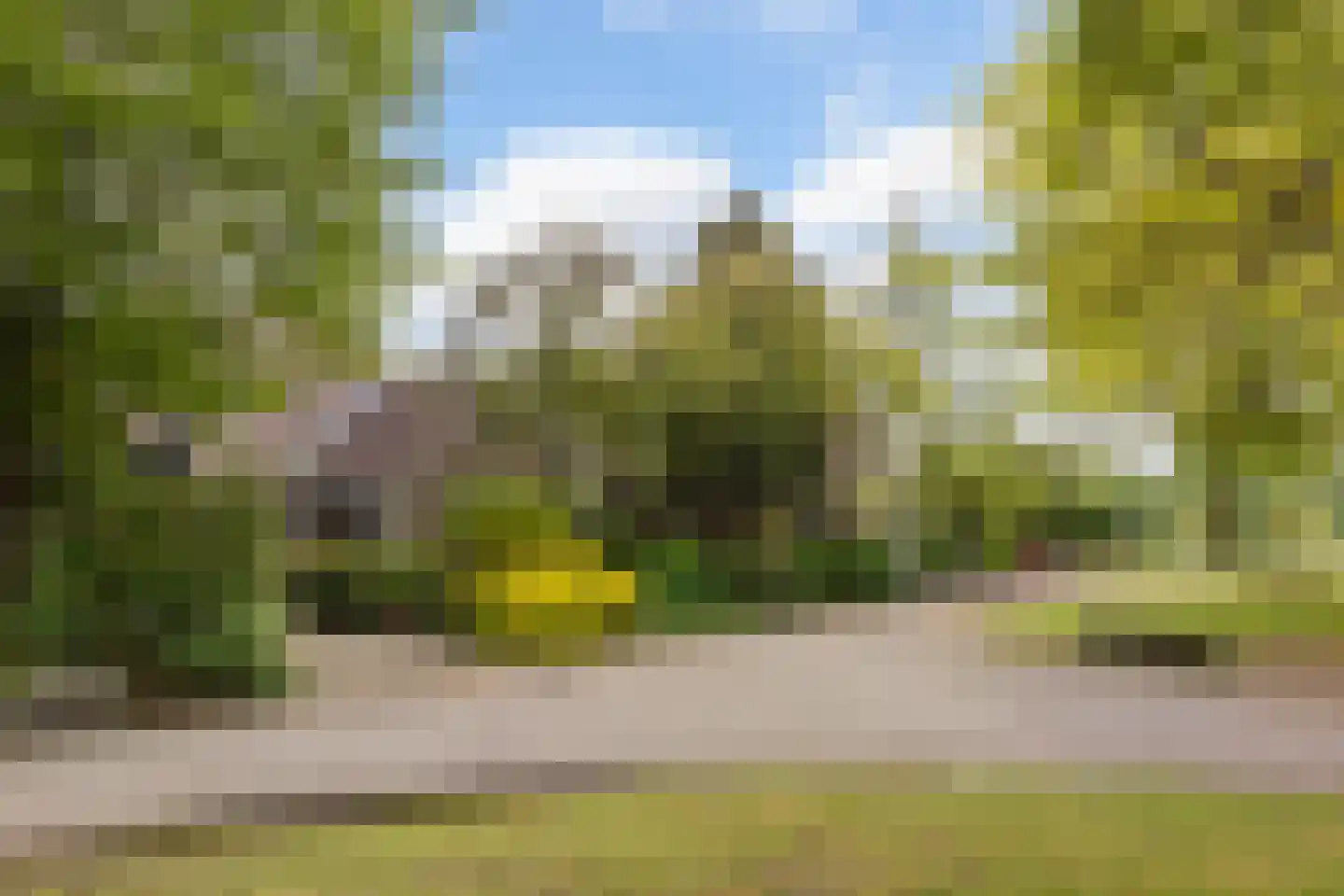 Grijze Kraai 11 Emmen thumbnail 10