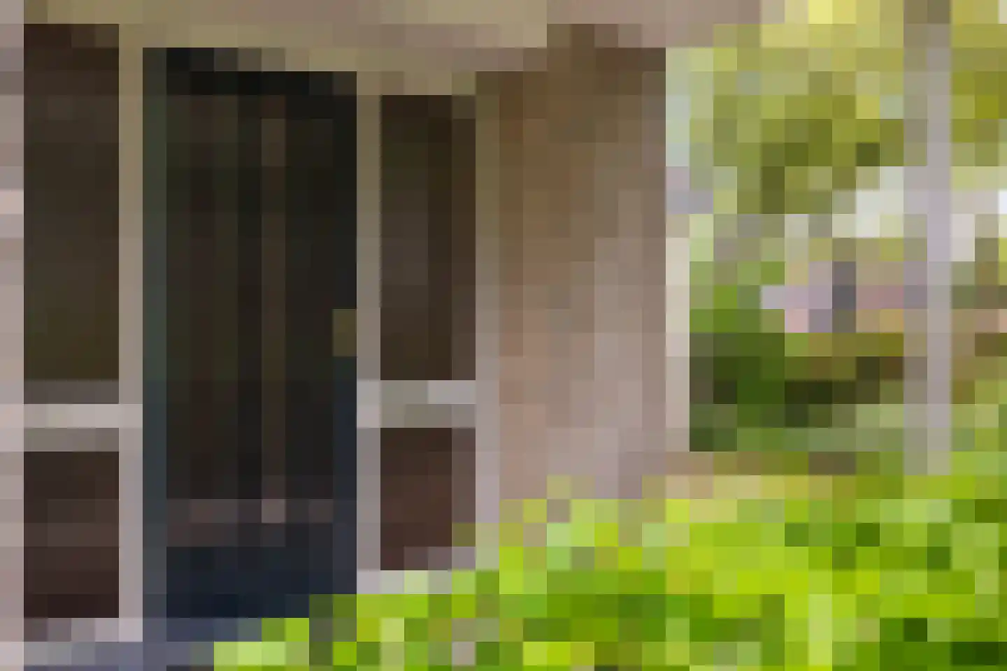 Grijze Kraai 11 Emmen thumbnail 11