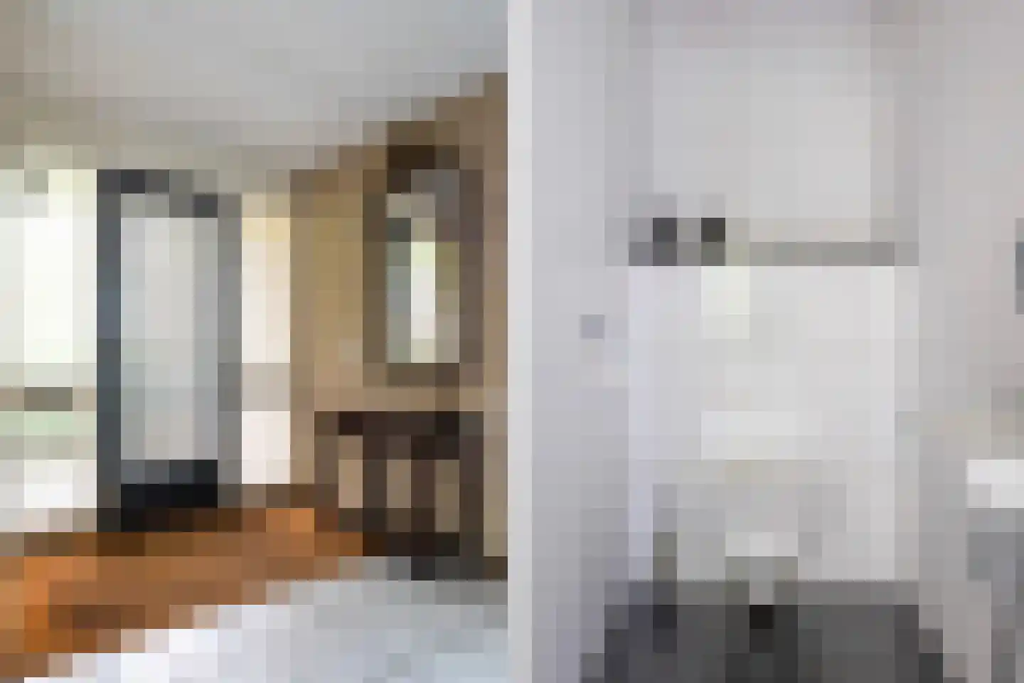 Grijze Kraai 11 Emmen thumbnail 13