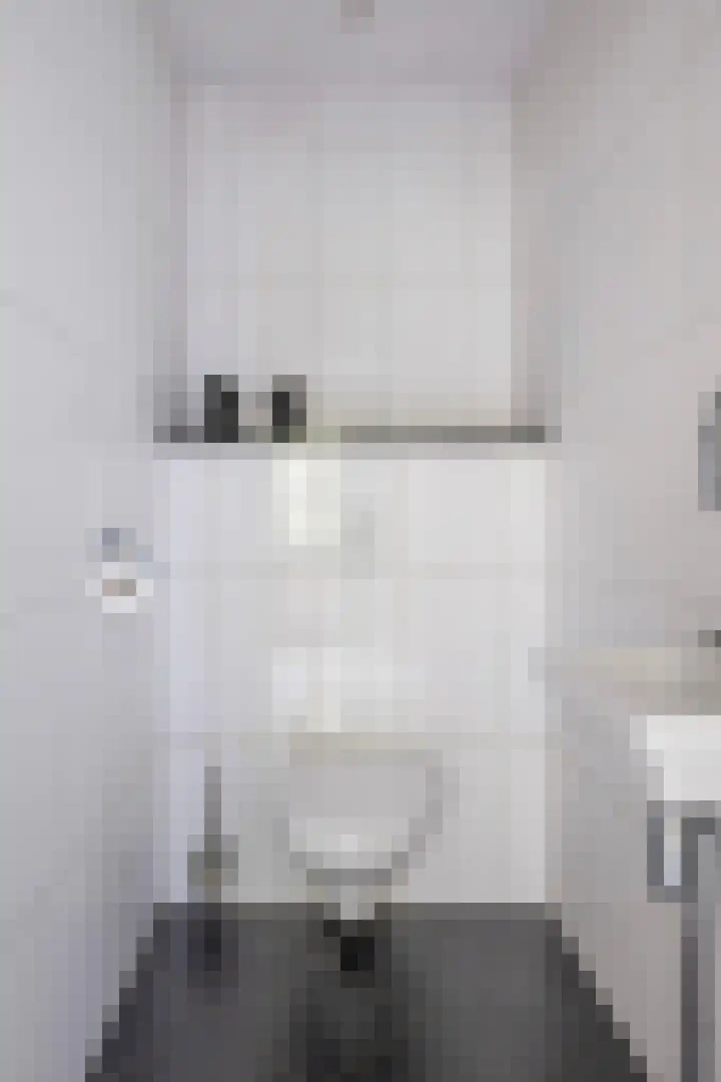 Grijze Kraai 11 Emmen thumbnail 14
