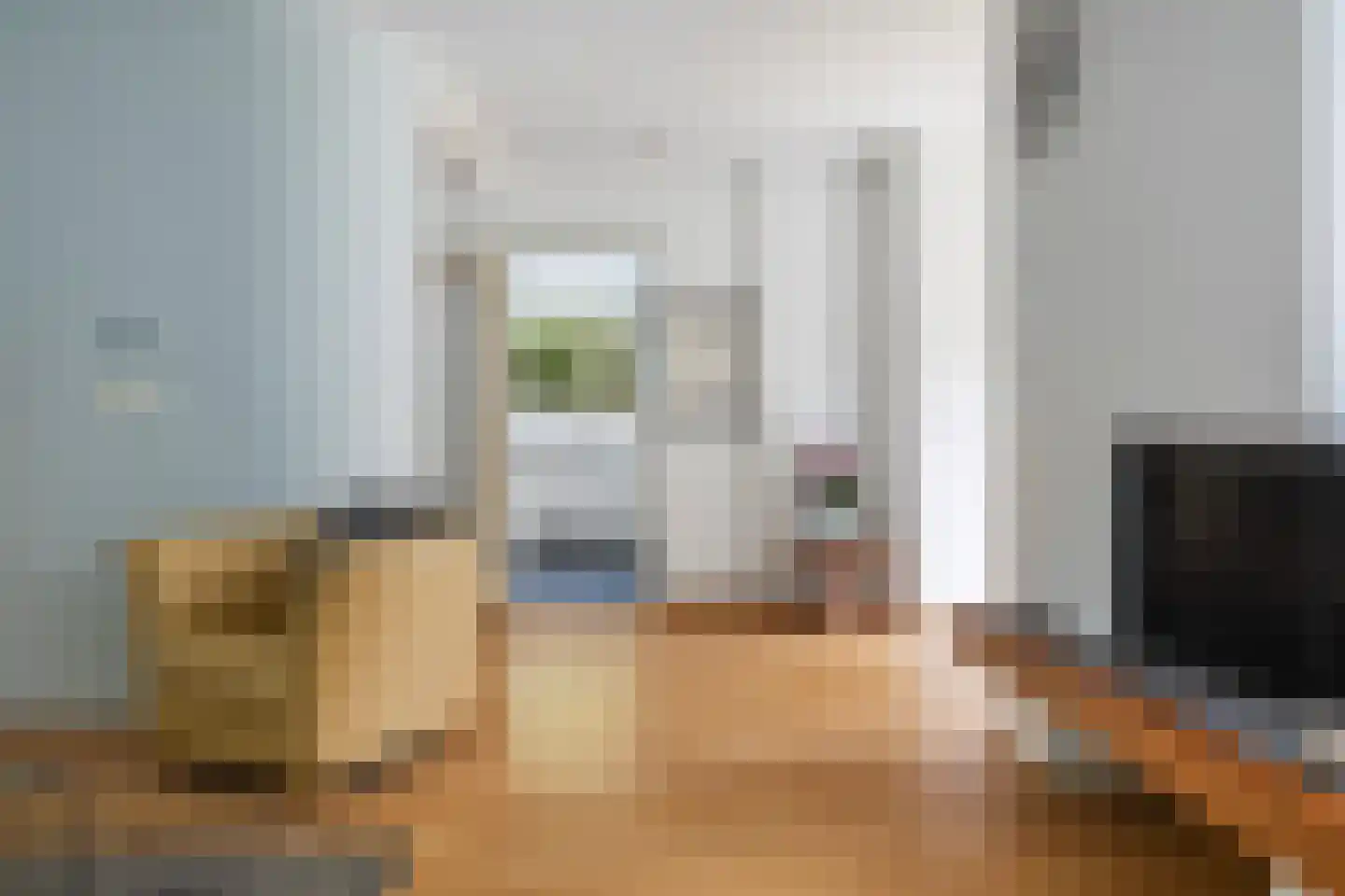 Grijze Kraai 11 Emmen thumbnail 17