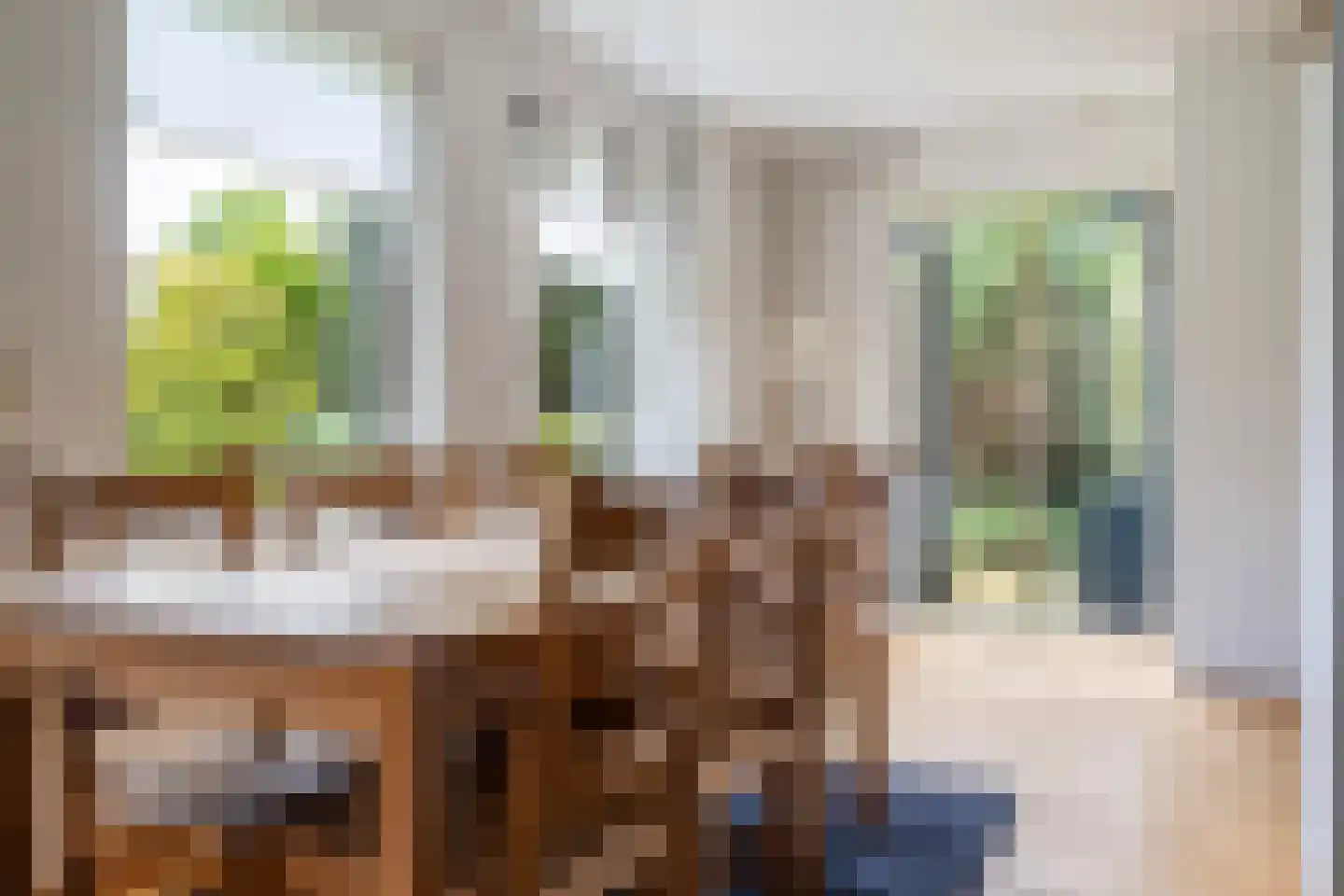 Grijze Kraai 11 Emmen thumbnail 18